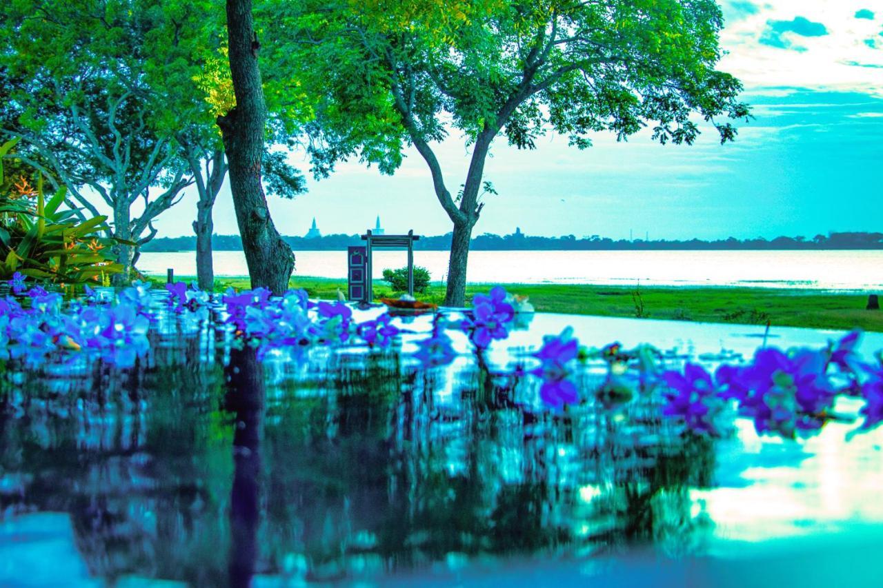 The Lake Forest Hotel Анурадхапура Экстерьер фото
